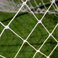 Plymouth V Lincoln City at Home Park - Match Preview